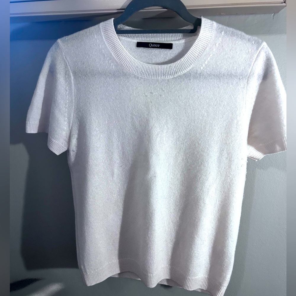 Quince Mongolian cashmere tee.